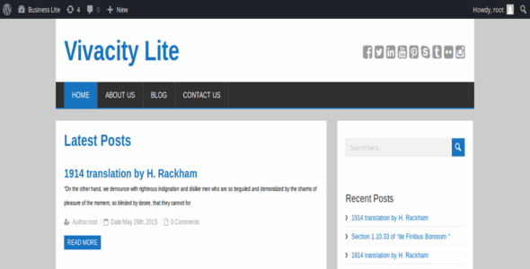 Vivacity Lite (WordPress)