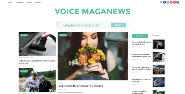 Voice Maganews (WordPress)