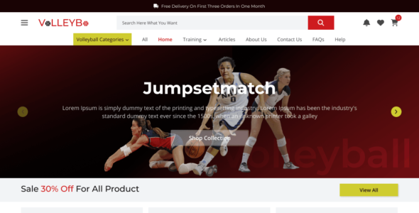 Volleyball Coach (WordPress)
