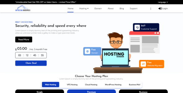 VW Hosting Services (WordPress)