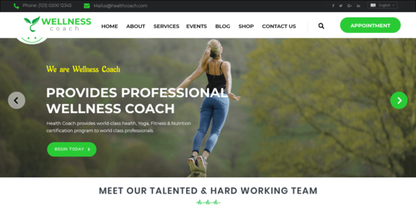 VW Wellness Coach (WordPress)