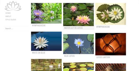 Water Lily (WordPress)