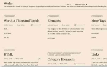 Wesley (screenshot desktop)