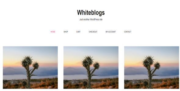 Whiteblogs (WordPress)
