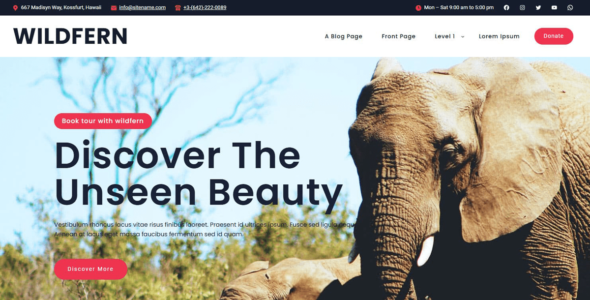 Wildfern (WordPress)