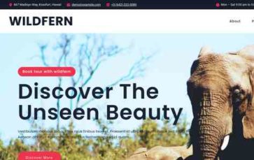 Wildfern (screenshot desktop)