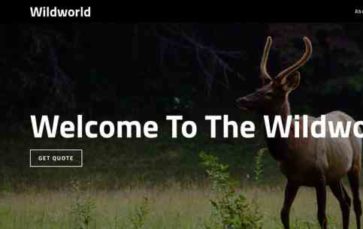 Wildworld (screenshot desktop)