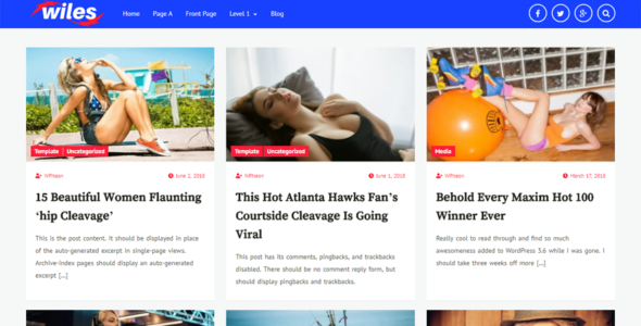 Wiles (WordPress)