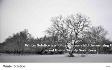 Winter Solstice (screenshot desktop)