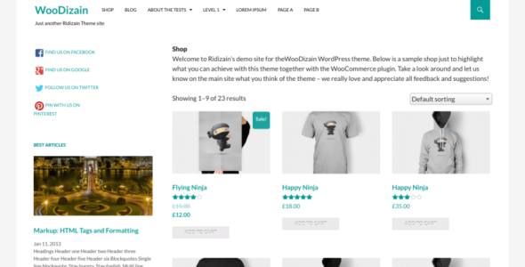 WooDizain (WordPress)