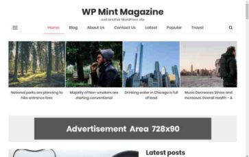 WP Mint Magazine (screenshot desktop)