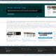 WP ParaStrap (WordPress)