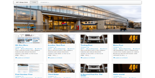 WP StrapGrid Lite (WordPress)