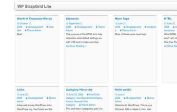 WP StrapGrid Lite (screenshot desktop)