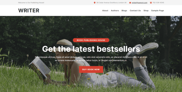 Writer FSE (WordPress)