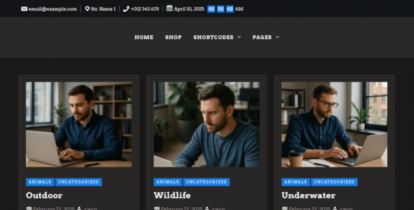 XPress Dark (WordPress)