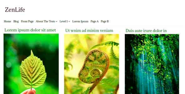 ZenLife (WordPress)