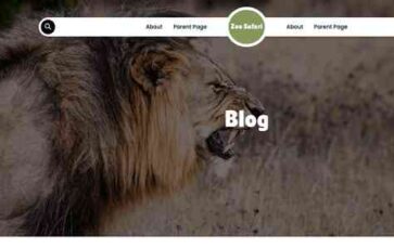 Zoo Safari (screenshot desktop)