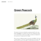 Zoologist (WordPress)