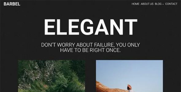 Barbel Pro (WowsThemes)