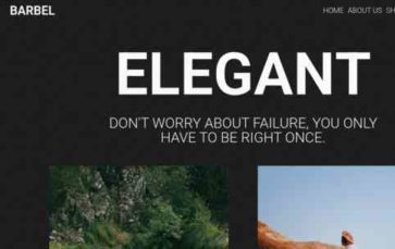 Barbel Pro (screenshot desktop)