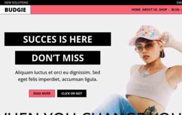 Budgie Pro (screenshot desktop)