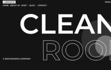 Labrador Pro (screenshot desktop)