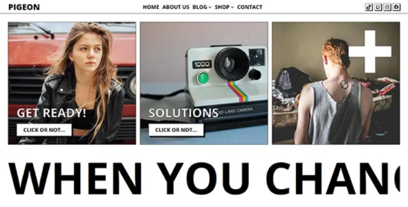 Pigeon Pro (WowsThemes)