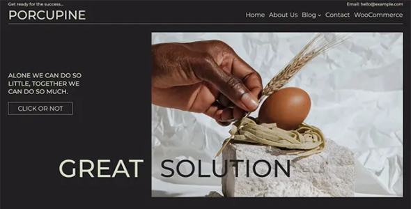Porcupine Pro (WowsThemes)