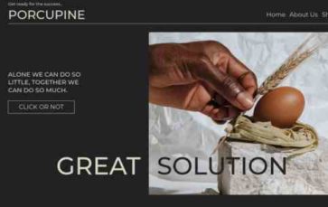 Porcupine Pro (screenshot desktop)