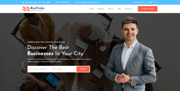 Business Directory Elementor Pro (WP Elemento)