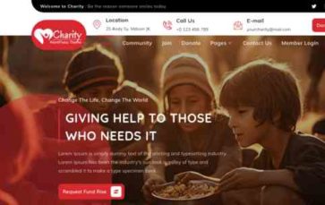 Charitable Non Profit Pro (screenshot desktop)