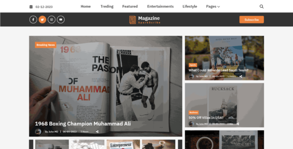 Magazine News Agency Pro (WP Elemento)