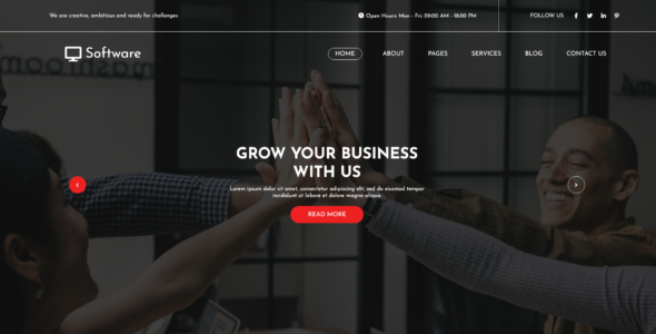 Software Company Elementor Pro (WP Elemento)
