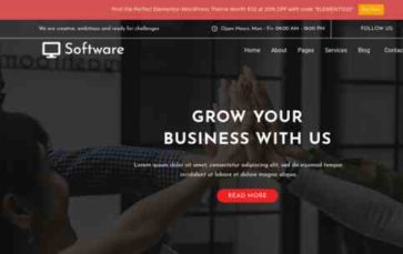 Software Company Elementor Pro (screenshot desktop)