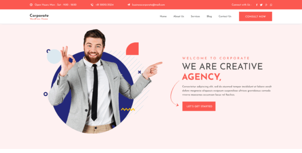 Unique Startup Pro (WP Elemento)