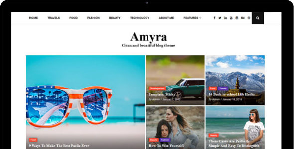 Amyra Lite (WP Online Support)