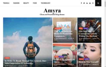Amyra Lite (screenshot desktop)