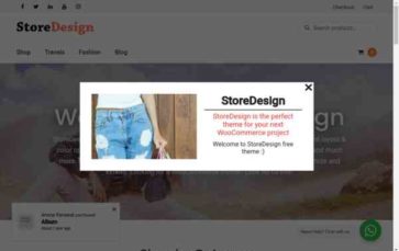 StoreDesign (screenshot desktop)