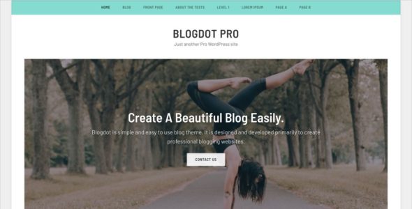 Blogdot Pro (WP Points)