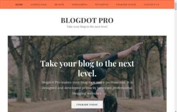 Blogdot Pro (screenshot desktop)