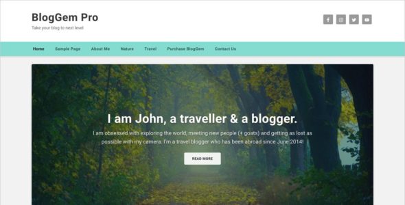 BlogGem Pro (WP Points)