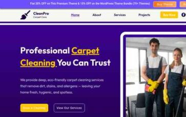 Carpet Washing Pro (screenshot desktop)