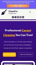 Carpet Washing Pro (screenshot mobile)