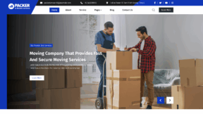 Packers Logistic Pro (WP Radiant)
