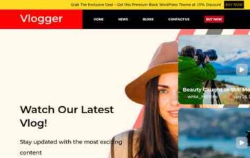 Professional Vlogger Pro (screenshot desktop)
