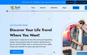 Travel Booking Solutions Pro (screenshot desktop)