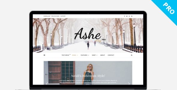 Ashe Blog (WP Royal)