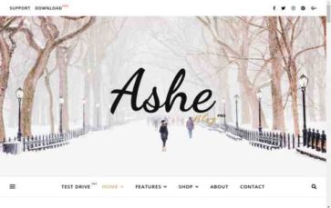 Ashe Pro (screenshot desktop)