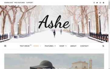 Ashe (screenshot desktop)